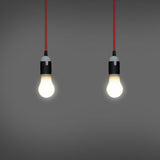 United Colours / 色の組み合わせ