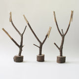 Tree Memo Stand / 小枝のメモスタンド