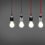 United Colours / 色の組み合わせ