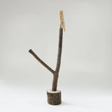 Tree Memo Stand / 小枝のメモスタンド