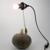 Vegetable Lamp / 野菜の照明