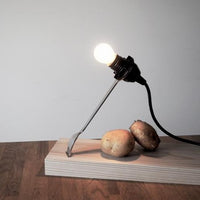 Vegetable Lamp / 野菜の照明