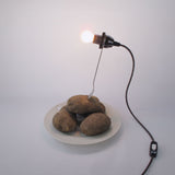 Vegetable Lamp / 野菜の照明